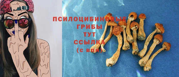 прущие крисы Алзамай