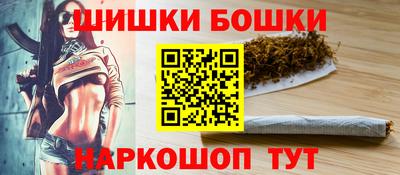 МДПВ Камышлов