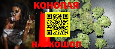 МДПВ Камышлов