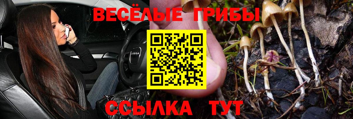 Галлюциногенные грибы ЛСД  Галлюциногенные грибы мицелий  Вход с VPN  Киреевск 