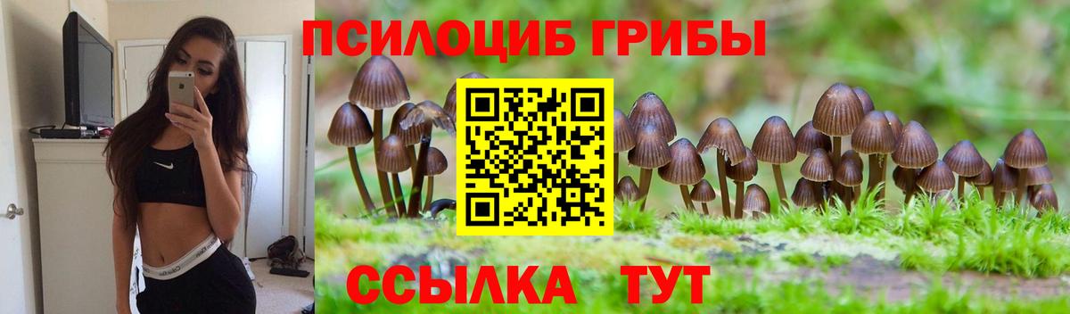 Галлюциногенные грибы Cubensis Киреевск